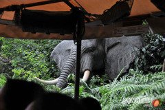 hkdisneyland-trip-408