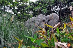 hkdisneyland-trip-409