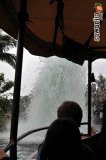 hkdisneyland-trip-414