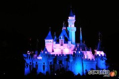 hktrip-disneyland-fw-1