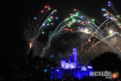 hktrip-disneyland-fw-10