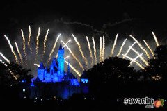 hktrip-disneyland-fw-11