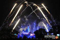 hktrip-disneyland-fw-13