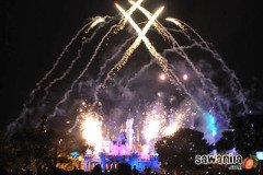 hktrip-disneyland-fw-14