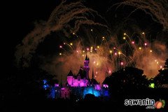 hktrip-disneyland-fw-29
