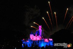 hktrip-disneyland-fw-6