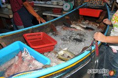 kuantan-25