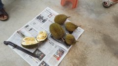 melaka-42