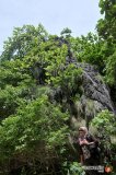 krabi-5773