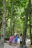 krabi-5782