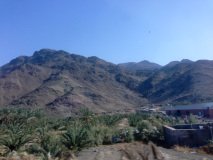 IMG_0955