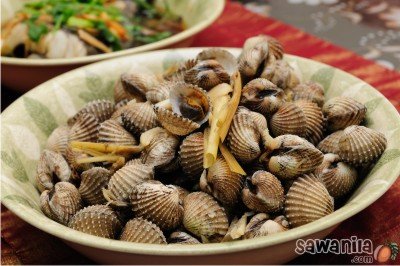 Kerang Rebus | Sawanila.com