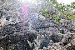 Hatyai-Krabi-8194