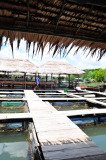 Hatyai-Krabi-8330