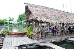Hatyai-Krabi-8337