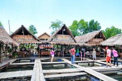 Hatyai-Krabi-8339