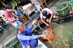 Hatyai-Krabi-8345