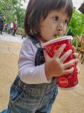 IMG_20181213_141519