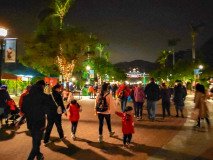 IMG_20181213_201908