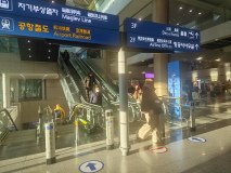 IMG_20241218_083749