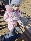 IMG_20241219_100950