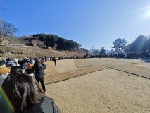 IMG_20241219_101132