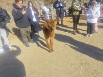IMG_20241219_101406