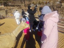 IMG_20241219_101441
