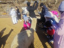 IMG_20241219_101444