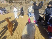 IMG_20241219_101445