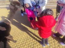 IMG_20241219_101501