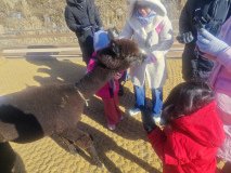 IMG_20241219_101502