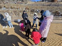 IMG_20241219_101507
