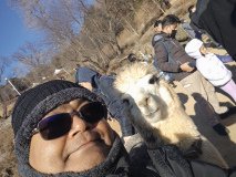 IMG_20241219_101556