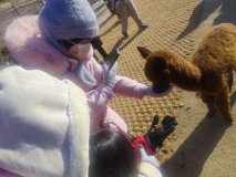IMG_20241219_101616