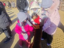 IMG_20241219_101624