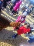 IMG_20241219_101631