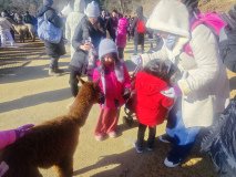 IMG_20241219_101649