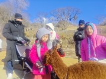 IMG_20241219_101701