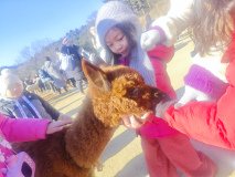 IMG_20241219_101739