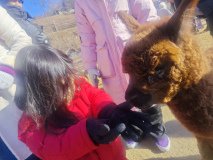 IMG_20241219_101823