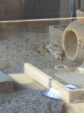 IMG_20241219_103605