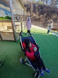 IMG_20241219_103620