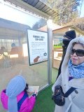 IMG_20241219_103650