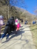 IMG_20241219_103858