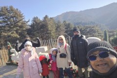 IMG_20241219_105328