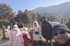 IMG_20241219_105330