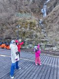 IMG_20241219_140428