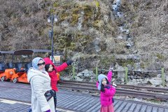 IMG_20241219_140428