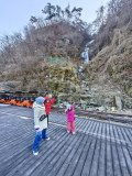 IMG_20241219_140441